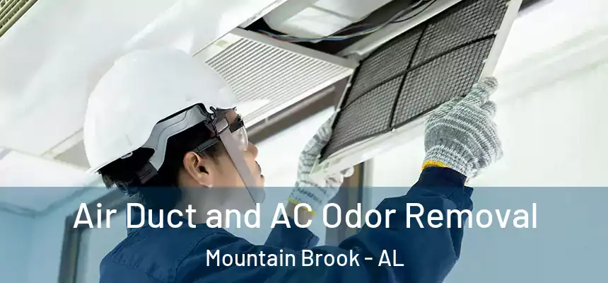 Air Duct and AC Odor Removal Mountain Brook - AL