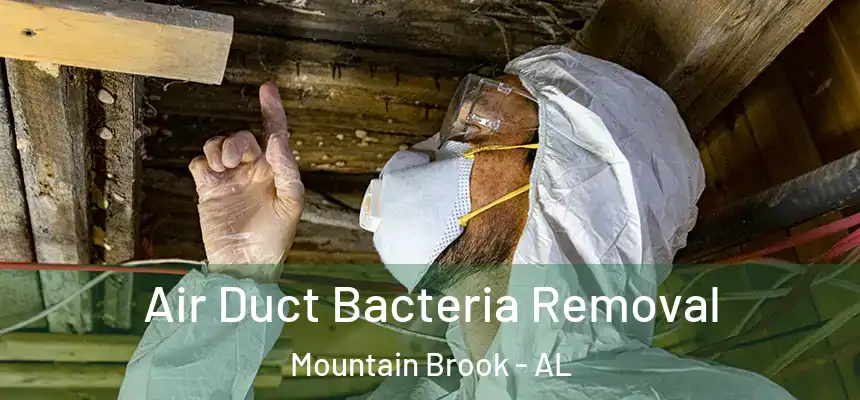 Air Duct Bacteria Removal Mountain Brook - AL