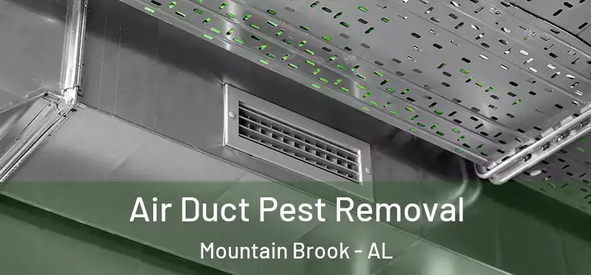Air Duct Pest Removal Mountain Brook - AL