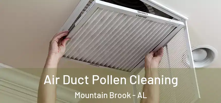 Air Duct Pollen Cleaning Mountain Brook - AL