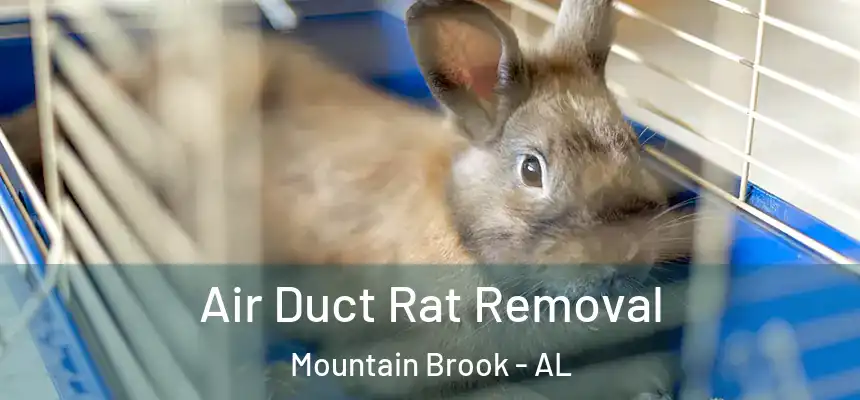 Air Duct Rat Removal Mountain Brook - AL