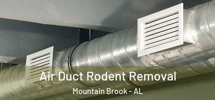  Air Duct Rodent Removal Mountain Brook - AL