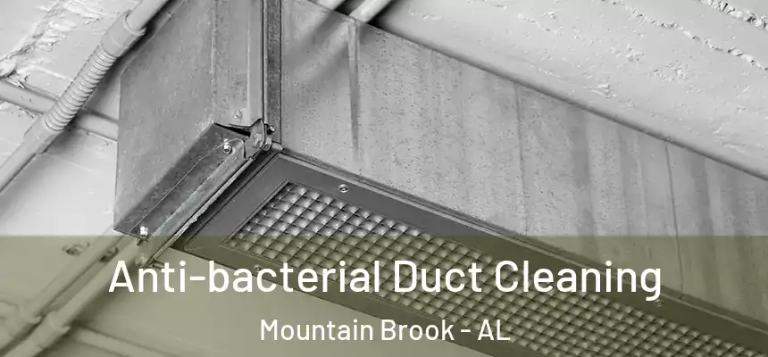 Anti-bacterial Duct Cleaning Mountain Brook - AL