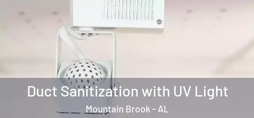 Duct Sanitization with UV Light Mountain Brook - AL