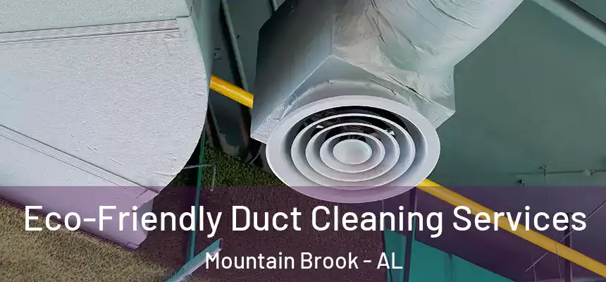 Eco-Friendly Duct Cleaning Services Mountain Brook - AL