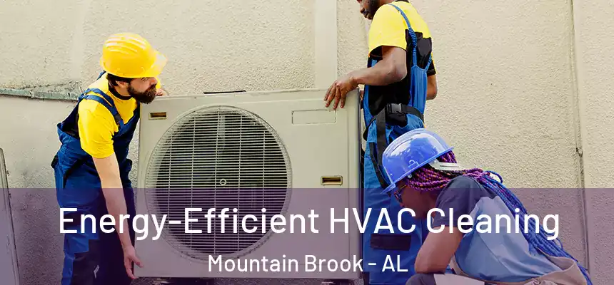  Energy-Efficient HVAC Cleaning Mountain Brook - AL