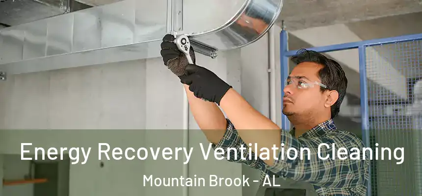 Energy Recovery Ventilation Cleaning Mountain Brook - AL