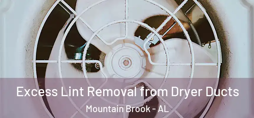 Excess Lint Removal from Dryer Ducts Mountain Brook - AL