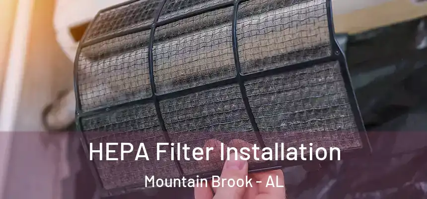  HEPA Filter Installation Mountain Brook - AL