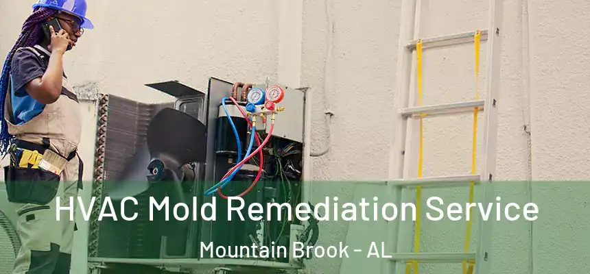 HVAC Mold Remediation Service Mountain Brook - AL