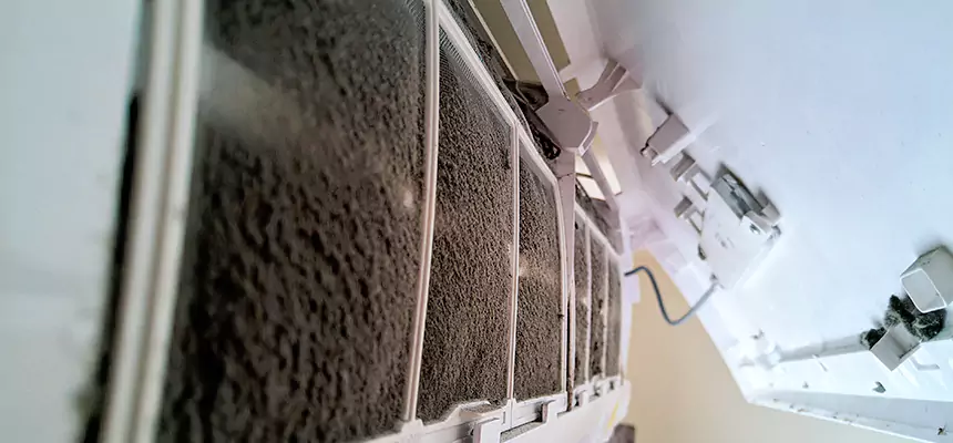 Preventive Air Duct Bacteria Removal in Mountain Brook