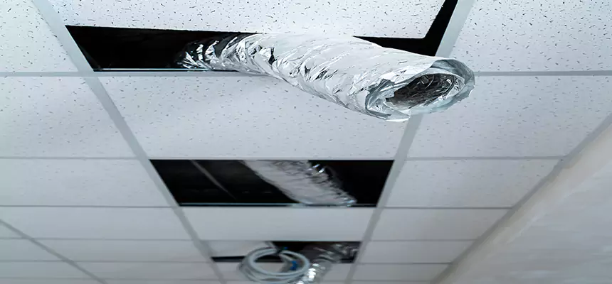 Affordable HVAC Sanitizing After Pest Removal in Mountain Brook