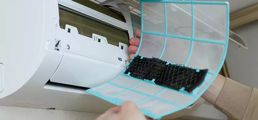 Gentle Ductwork Odor-Control Pet Dander Duct Cleaning in Mountain Brook, AL