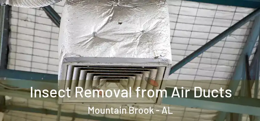 Insect Removal from Air Ducts Mountain Brook - AL