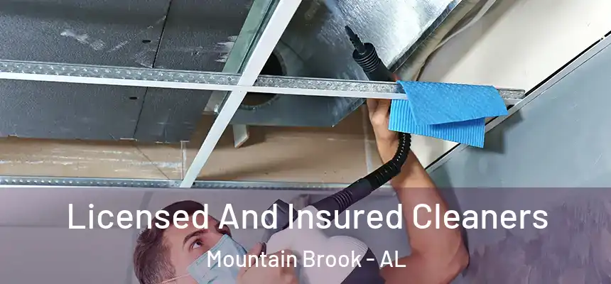  Licensed And Insured Cleaners Mountain Brook - AL