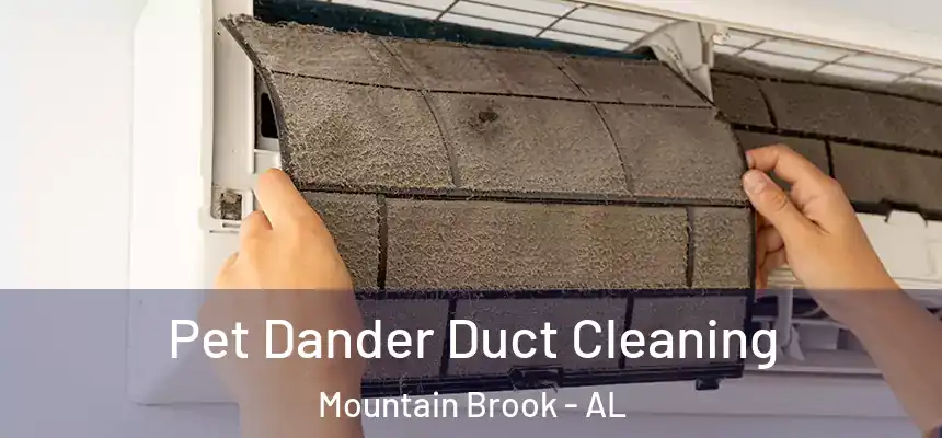 Pet Dander Duct Cleaning Mountain Brook - AL