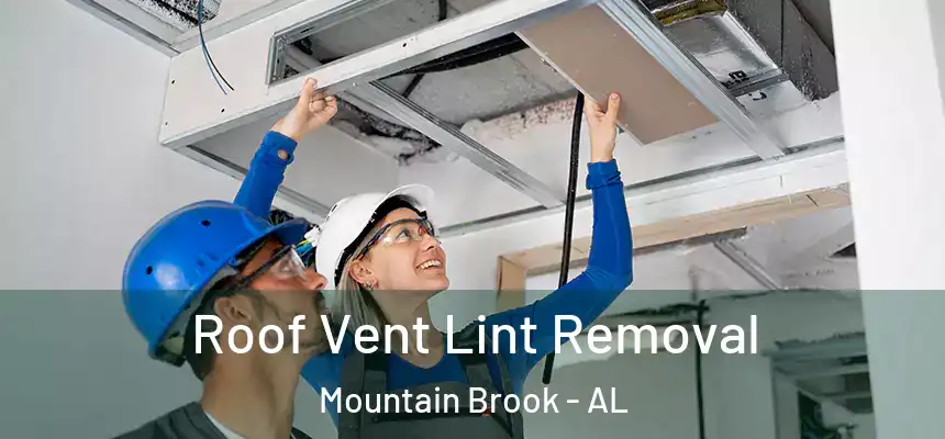  Roof Vent Lint Removal Mountain Brook - AL