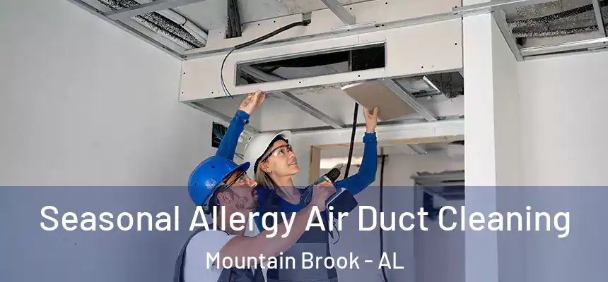 Seasonal Allergy Air Duct Cleaning Mountain Brook - AL