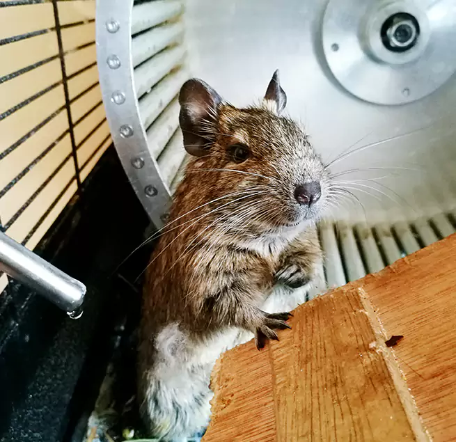 Why Homeowners & Businesses Trust Us Mountain Brook, AL?